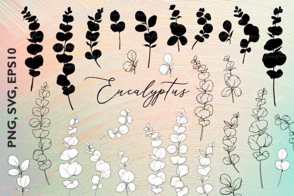 Download Eucalyptus SVG, Eucalyptus Silhouette - Silhouette Collection